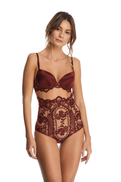 Embroidered High Brief